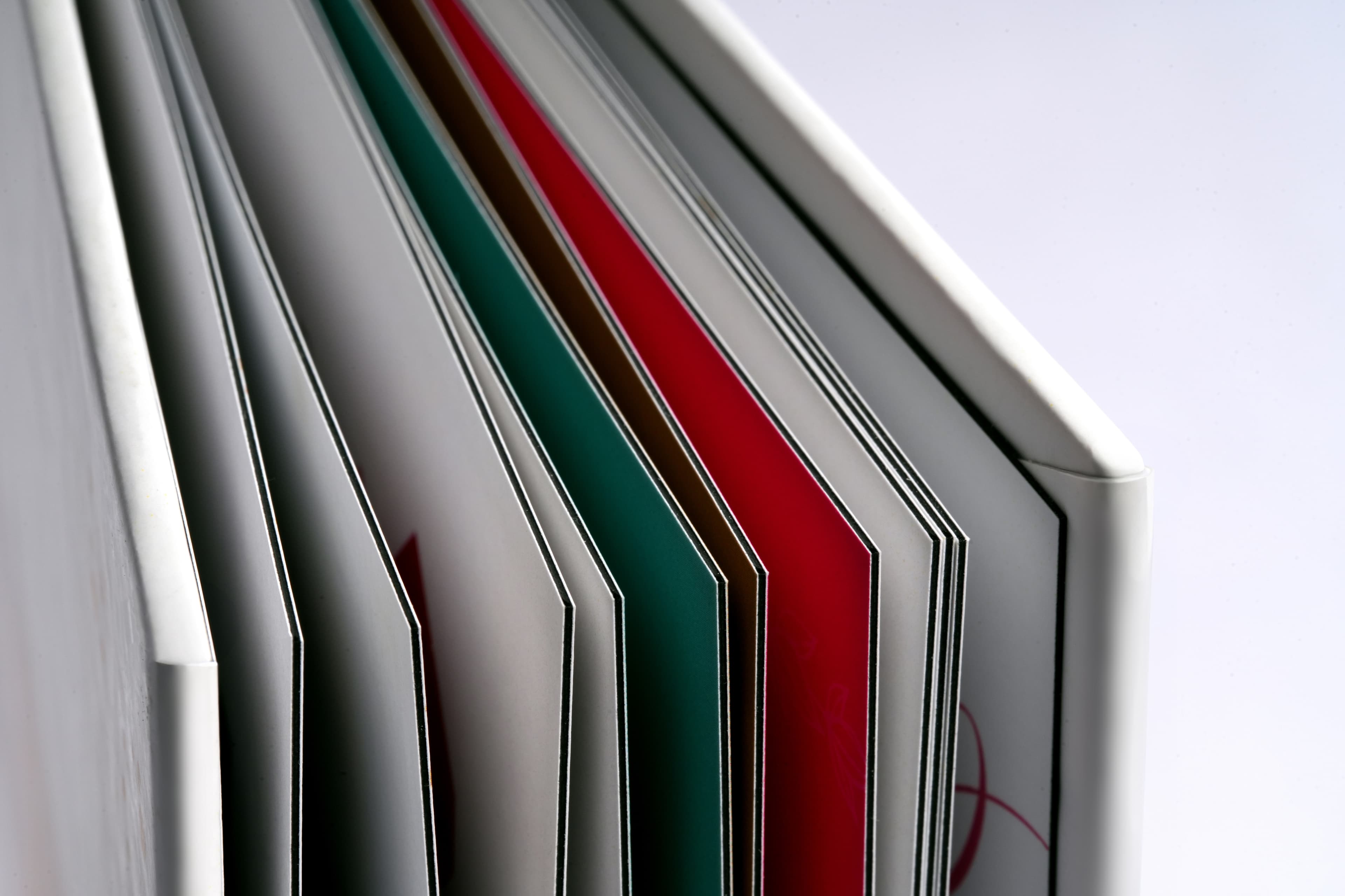 ألبومات الصور thumbnail 3